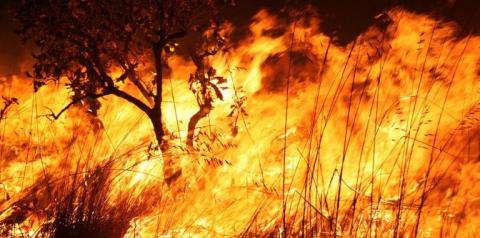 Estudo CNM: queimadas somam prejuízos de mais de R$ 1,1 bilhão no Brasil nos últimos seis anos